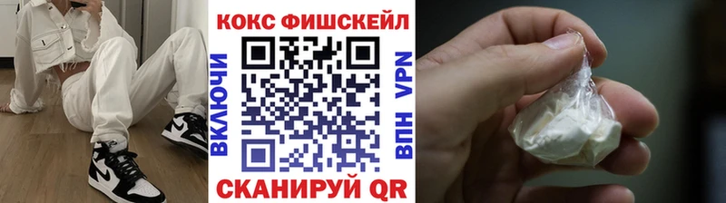 где купить наркоту  Железноводск  Cocaine Fish Scale 
