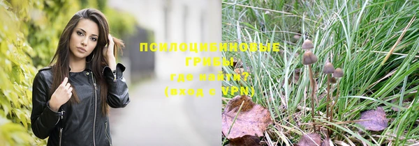 мяу мяу кристалл Горняк