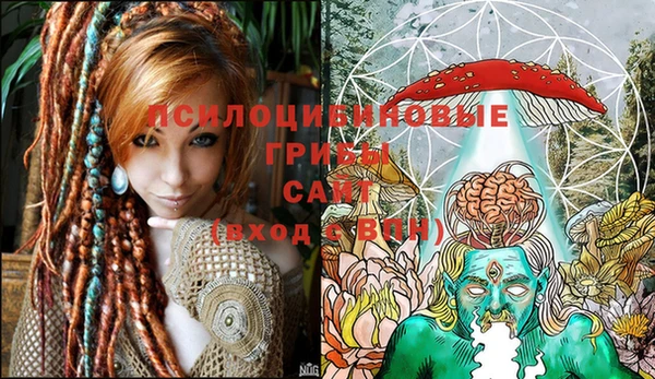 таблы Горнозаводск