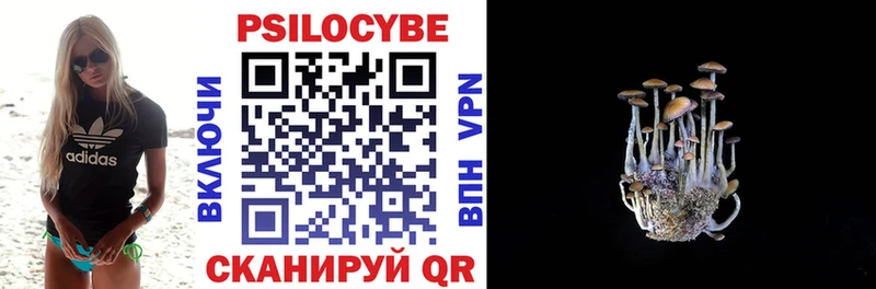 Псилоцибиновые грибы GOLDEN TEACHER  Железноводск 