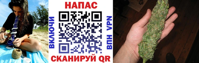 Конопля индика  продажа наркотиков  Железноводск 